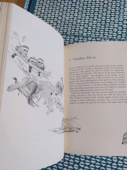 Silent Spring, 1st edition, 1st printing